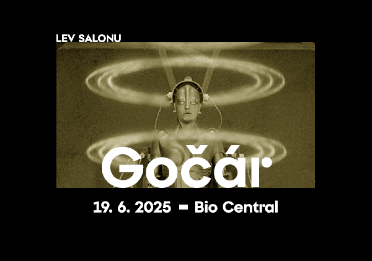 Lev salonu: Josef Gočár